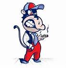 Monkey