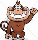 Monkey