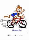 Monkey